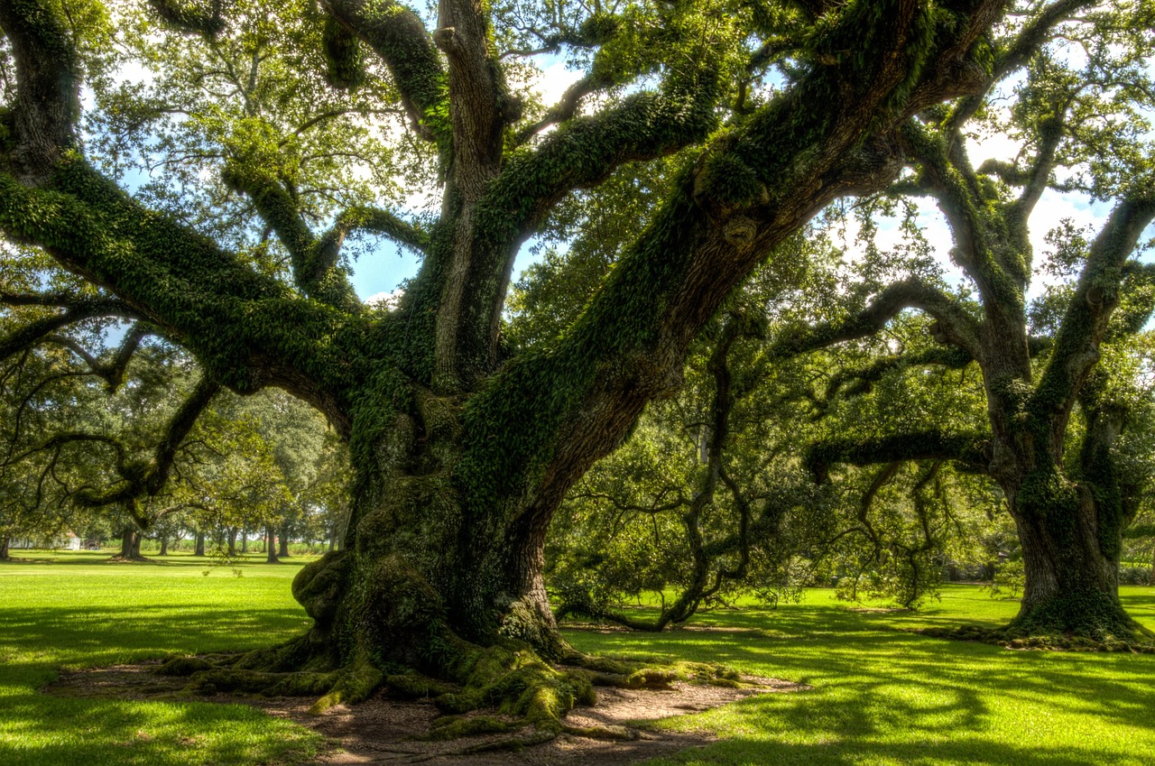 Wormsloe Historic Site