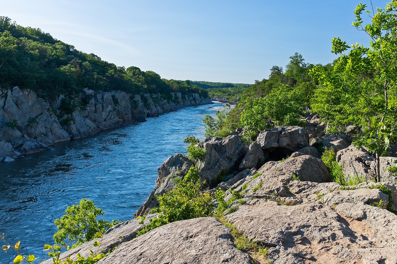 Potomac Dinner Cruise